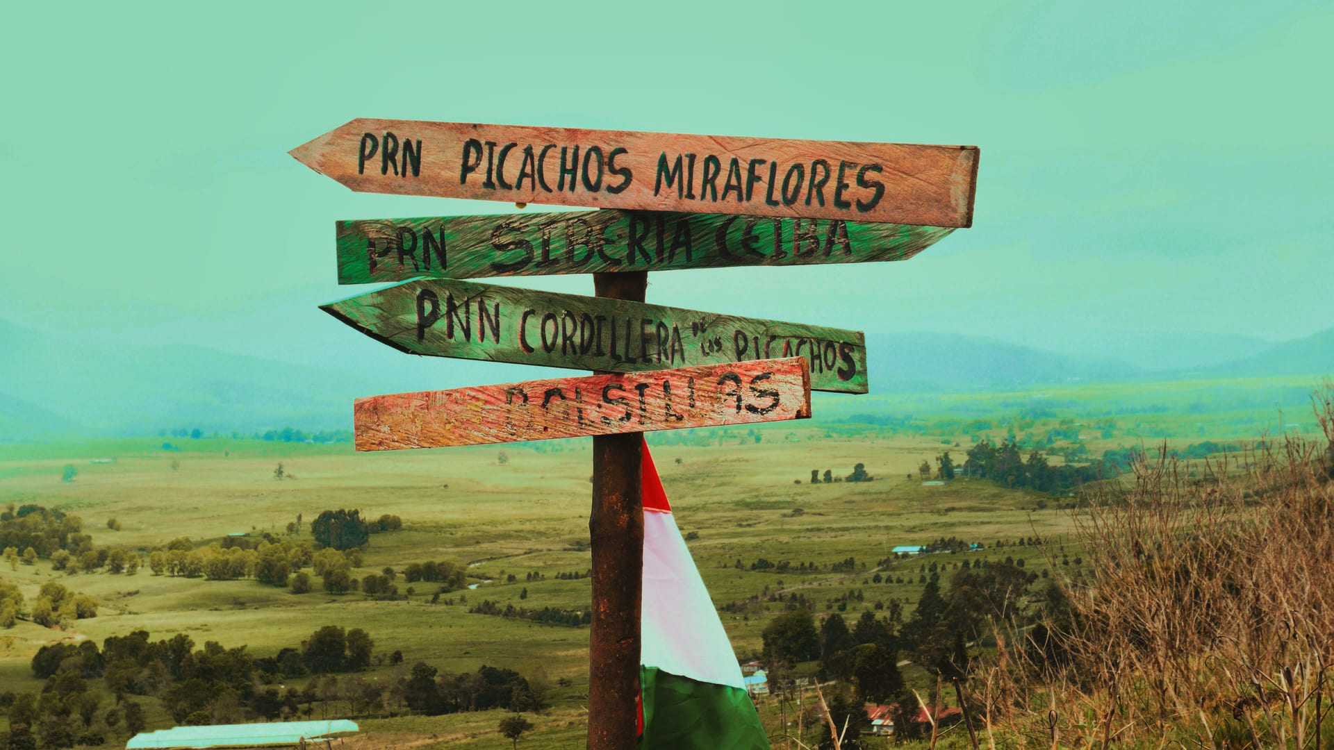 Narrativa visual de proyecto independiente